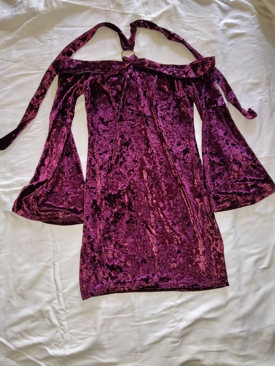 essue Dresses & Skirts - essue Crushed Velvet Mini Dress in Plum